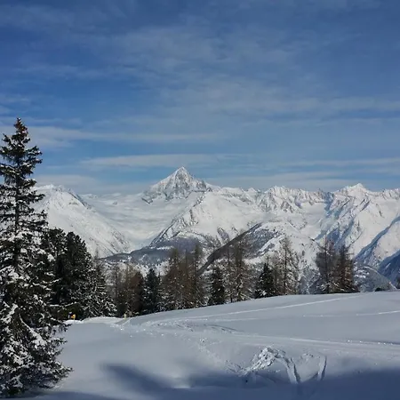 Chalet Moosalp E * Bürchen